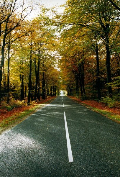 2001.11 DK 02.26 weg met herfstkleuren2